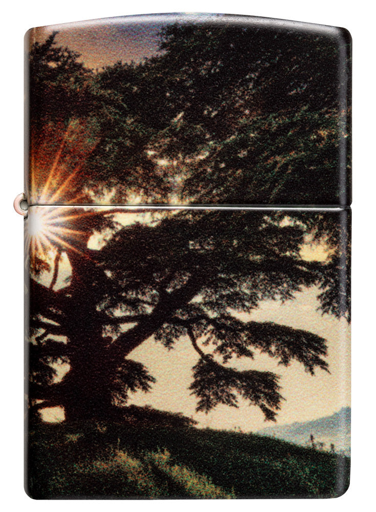 CEDAR TREE DESIGN