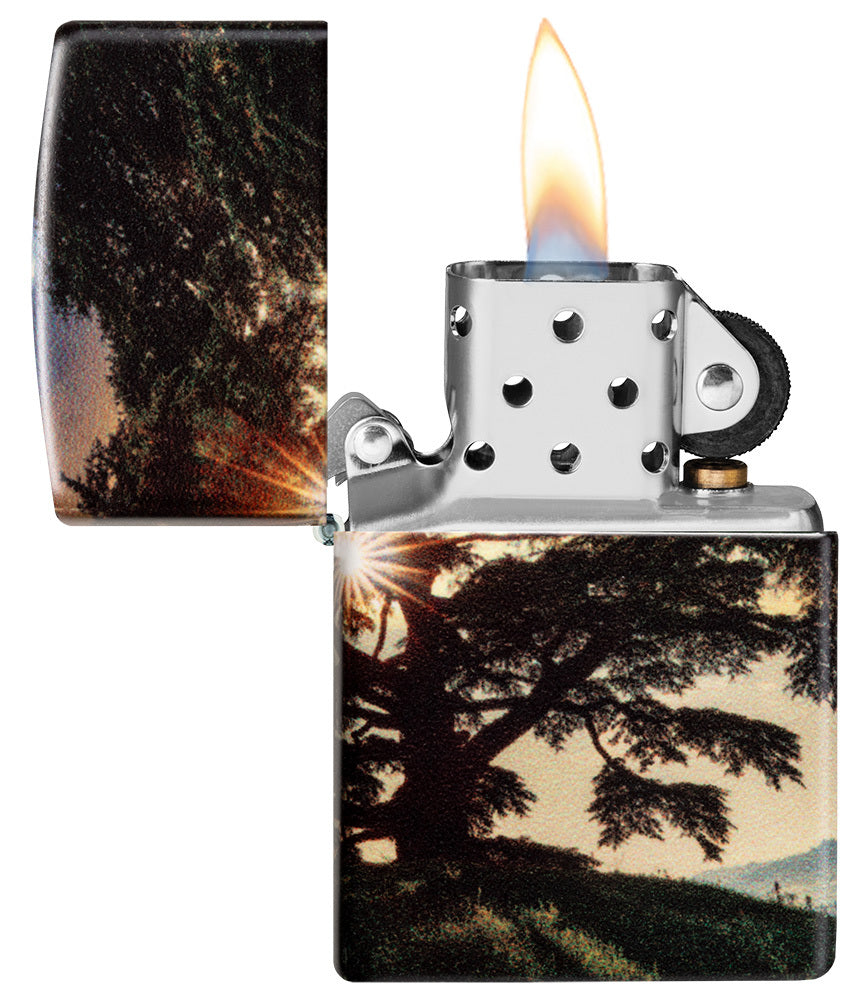 CEDAR TREE DESIGN
