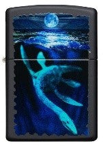 Lock Ness Design