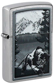 Mountain Lion Design