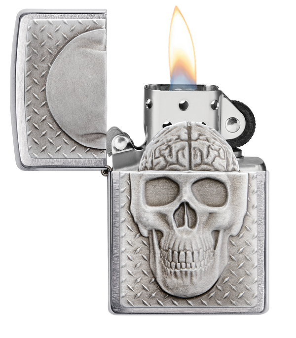 Skull with Brain Surprise
